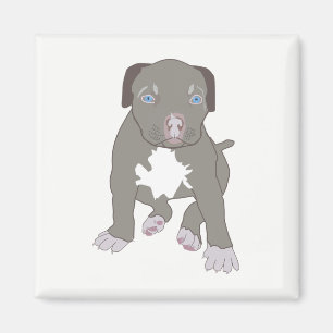 Pitbull Puppy Magnet