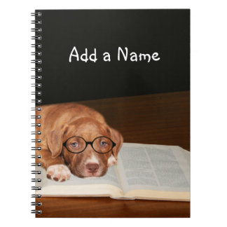 Pitbull puppy reads notebook