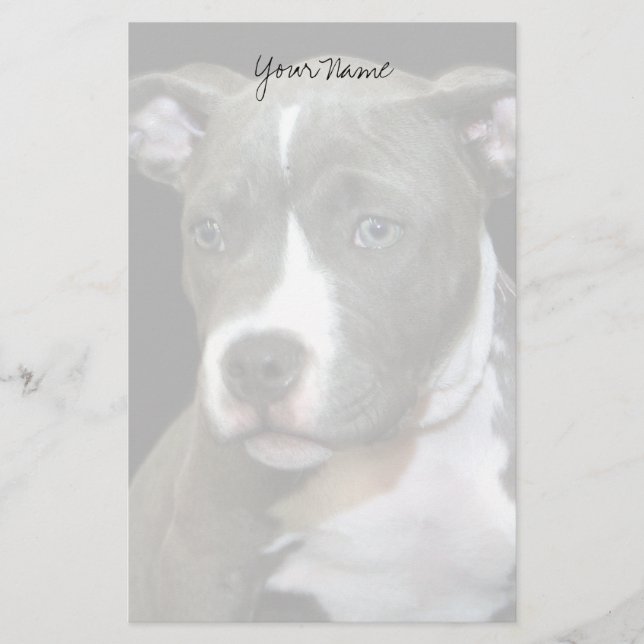 Pitbull puppy stationary stationery (Front)