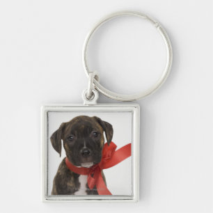Pitbull puppy wearing red ribbon keychain