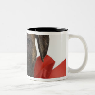 Pitbull puppy wearing red ribbon Two-Tone coffee mug