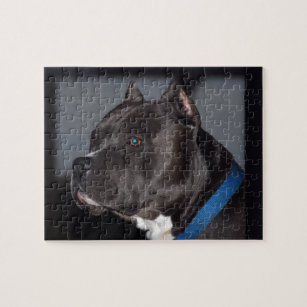 Blue Gray Pitbull Jigsaw Puzzle