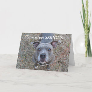 Pitbull Serious Thank You Card
