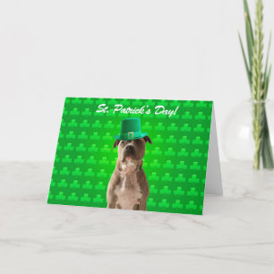 Pitbull St Patricks Day Clover Greeting Card