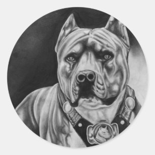 PITBULL STICKER ROUND PKG DE 20