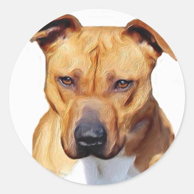 Pitbull stickers (Front)
