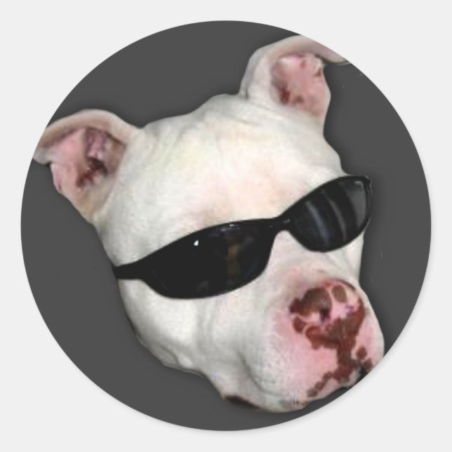 Pitbull stickers (Front)