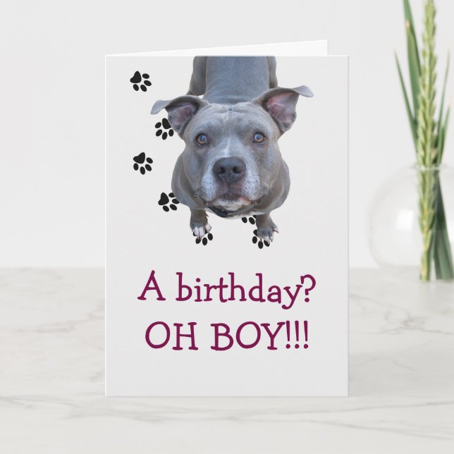 Pitbull Table Scraps Birthday Card (Front)