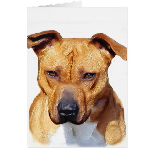 Pitbull Terrier (Front)