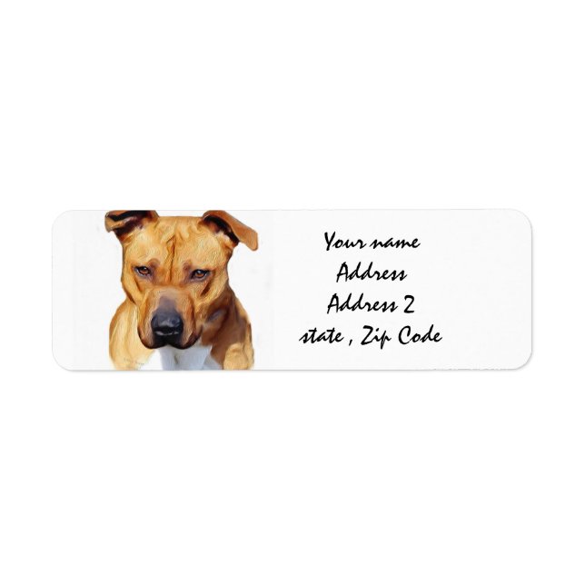 Pitbull Terrier (Front)