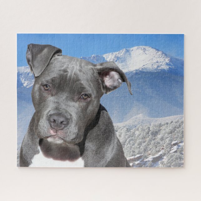 Pitbull Terrier. Jigsaw Puzzle (Horizontal)