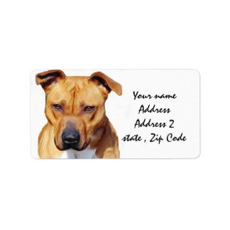 Pitbull Terrier Label