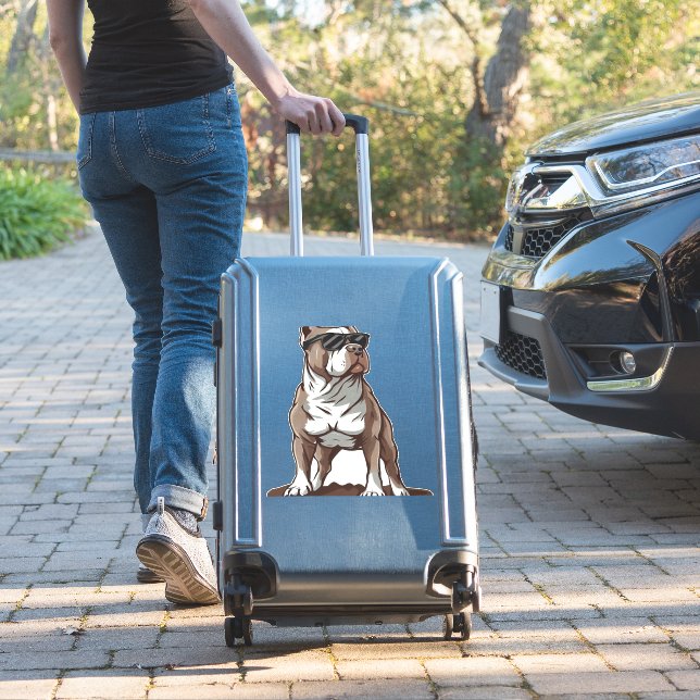 Pitbull The Guardian (Suitcase Insitu)