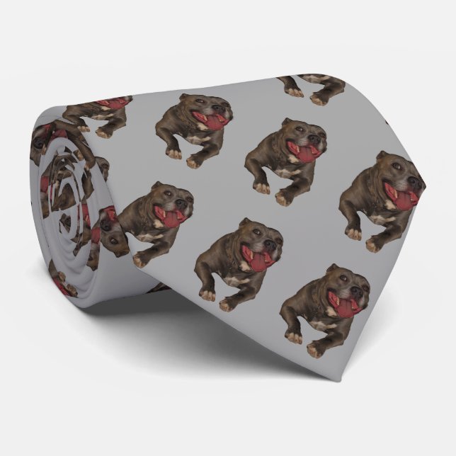 Pitbull Tie (Rolled)