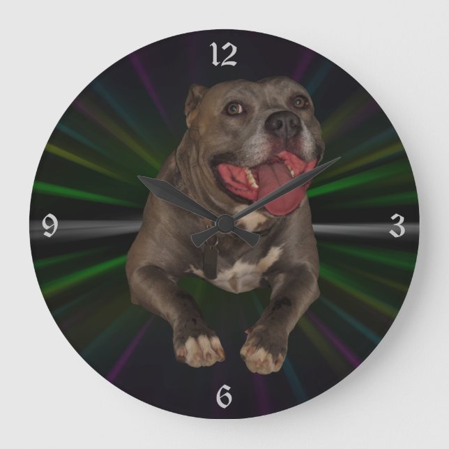 Pitbull Wall Clock (Front)