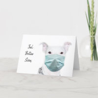 Pitbull wearing face mask