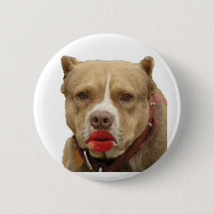 Pitbull Wearing Lipstick Button