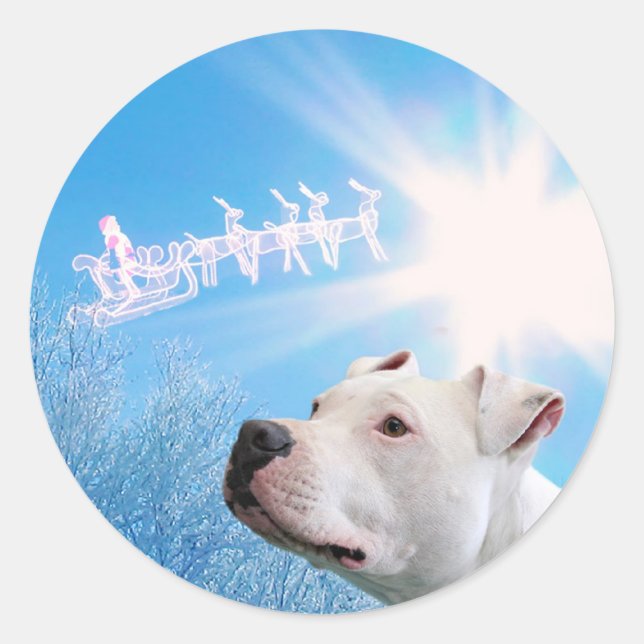 PItbull White Dog Christmas Wish Classic Round Sticker (Front)