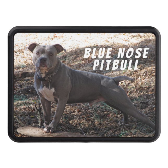 Pitbull with Skateboard Hitch Cover (Front)