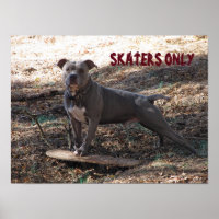 Pitbull with Skateboard Skaters Only Poster
