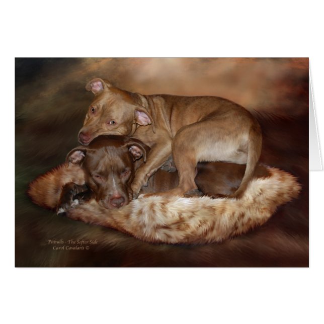 Pitbulls - The Softer Side ArtCard (Front Horizontal)