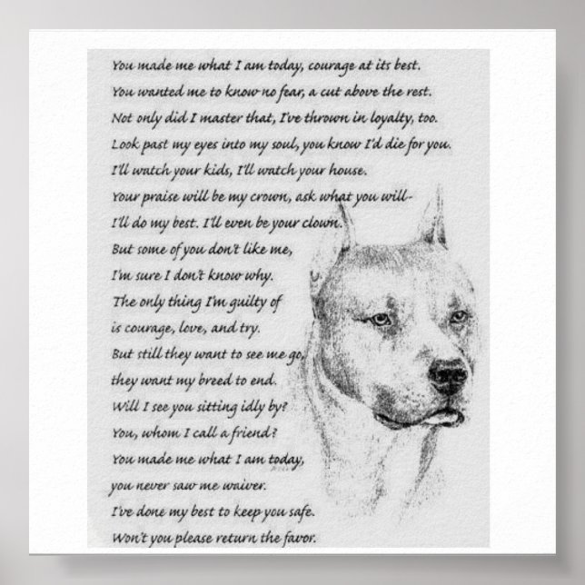 pitch poster (Front)