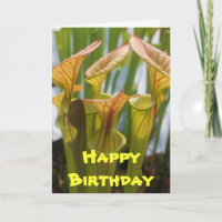 Pitcher Plant Carnivorous Birthday Card