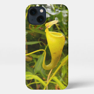 Pitcher Plant Nepenthes Carnivorous Nature Photo iPhone 13 Case