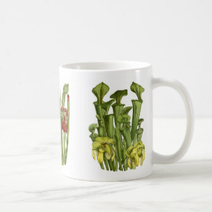 Pitcher plants coffee mug