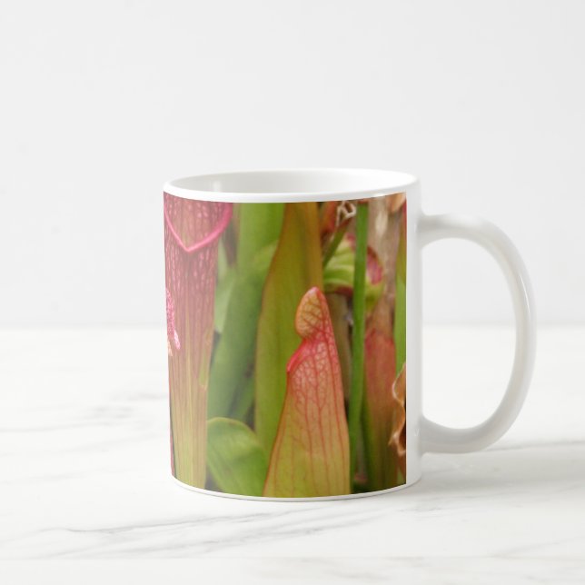 Pitcher Plants Coffee Mug (Right)