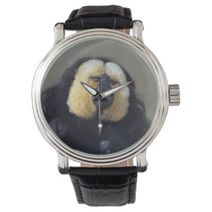 Pithecia pithecia watch