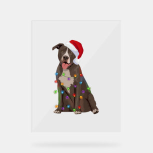 Pittie Pitbull Christmas Lights Xmas Dog Lover  Acrylic Sign