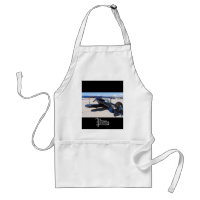 Pitts Special Blue, Pitts
