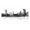 PITTSBURGH PENNSYLVANIA SKYLINE