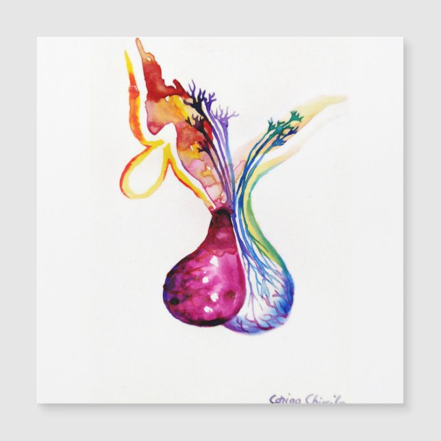 Pituitary structure (Front)