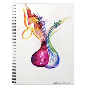 Pituitary structure notebook