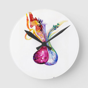 Pituitary structure round clock