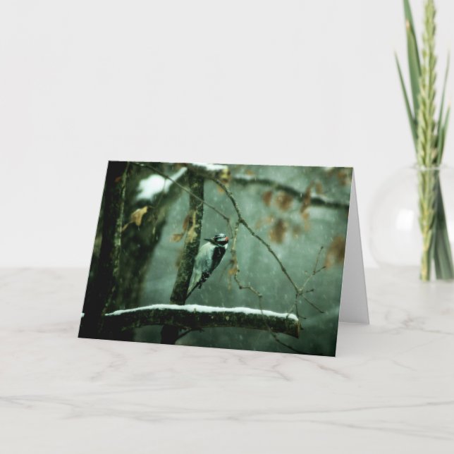 Pivert dans la carte de voeux de neige (Devant)