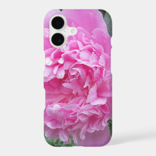 Pivoine