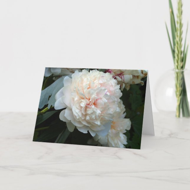Pivoine Forever  Carte (Devant)