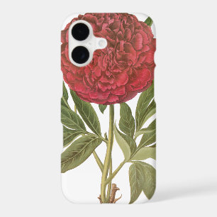 Pivoines Vintage, Fleurs de Pivoine par Basilius B