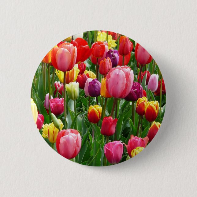 pixabay.comentulips-tulip-bed-colourful-colour-521 2 inch round button (Front)