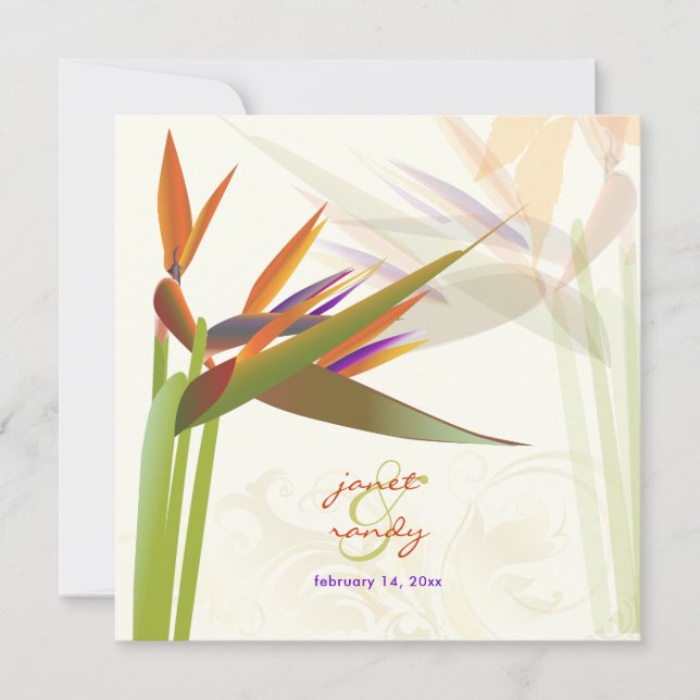 PixDezines BIRD OF PARADISE/DIY Background Colour Invitation (Front)