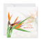 PixDezines BIRD OF PARADISE/DIY Background Colour