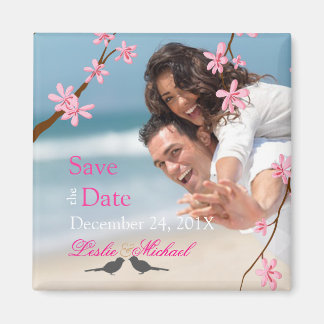 PixDezines Cherry Blossom+love birds Magnet