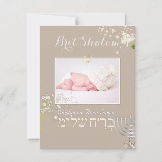 PixDezines dandelions brit shalom/diy colour Invitation (Front)