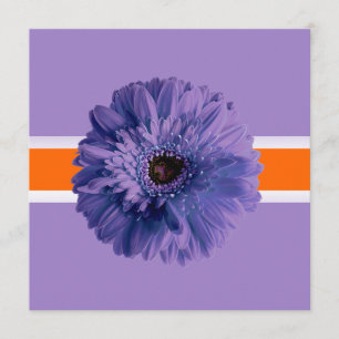 PixDezines Gerbera, purple/diy background colours Invitation