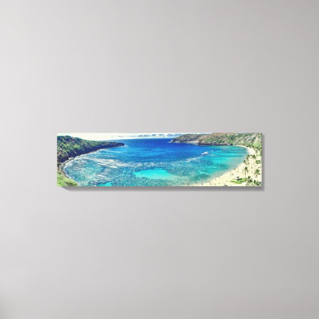 PixDezines hanauma bay Canvas Print (Front)