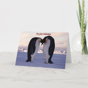 PixDezines Kissing Emperor Penguin Valentine's Holiday Card