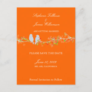 PixDezines love birds/diy background colour! Announcement Postcard